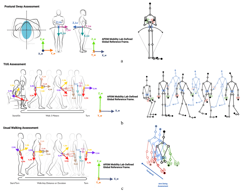 Structured gait assessments
