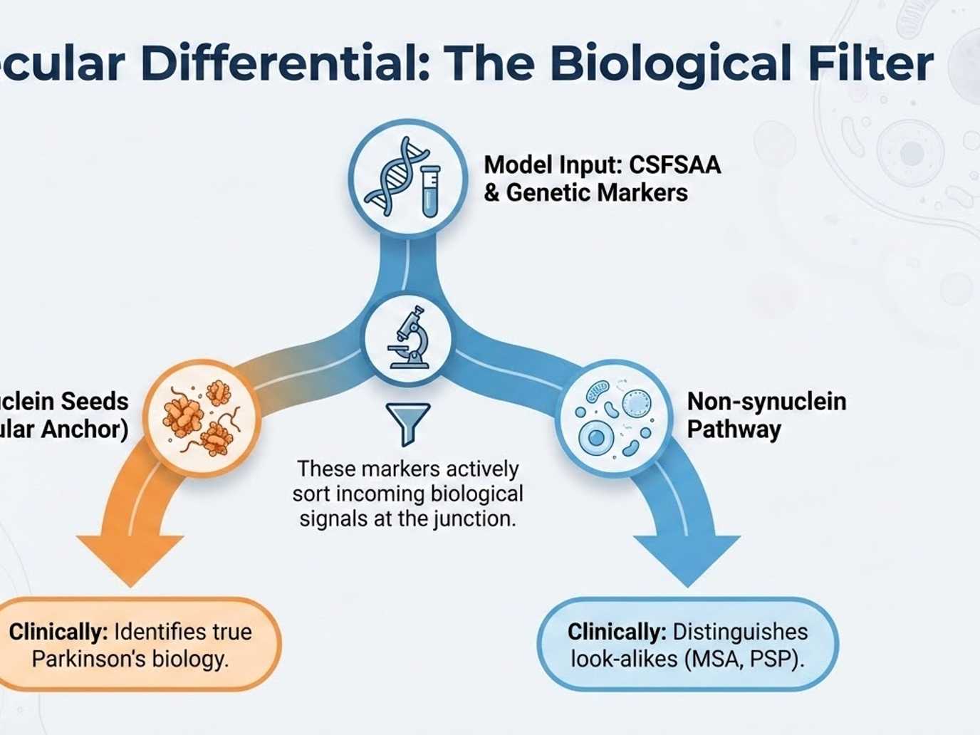 Differential diagnosis thumbnail