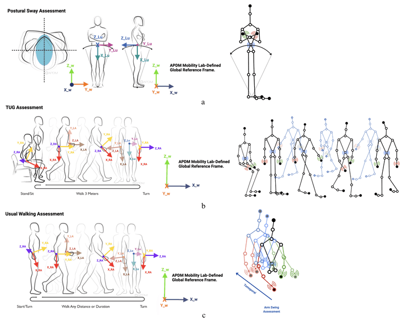 Structured gait assessments