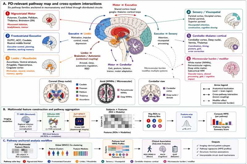 Pathway-anchored multimodal framework for circuit-level Parkinson's disease imaging analysis