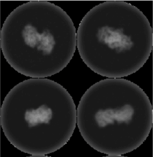 Real Time Processing of Hyperspectral Video project preview