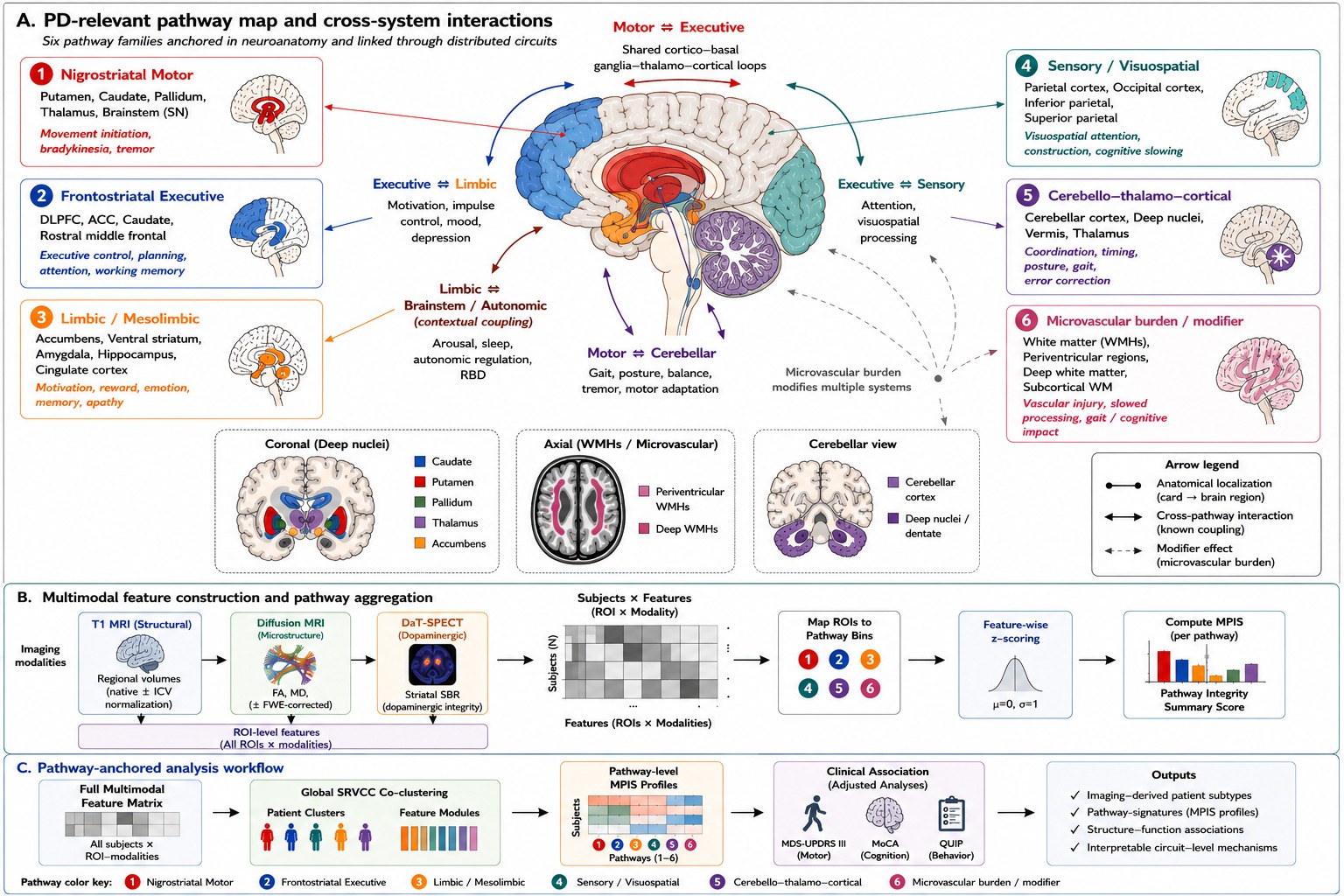 Pathway-anchored multimodal Parkinson disease imaging framework